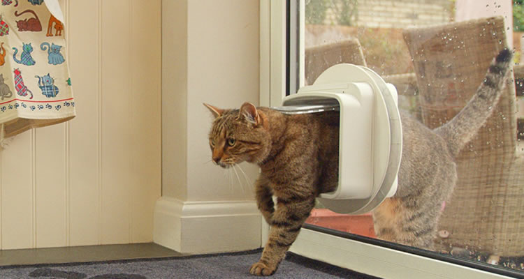 How Long Does Cat Flap Installation Take? - Nerd-con