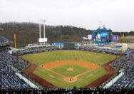 Gangnam Baseball Stadium