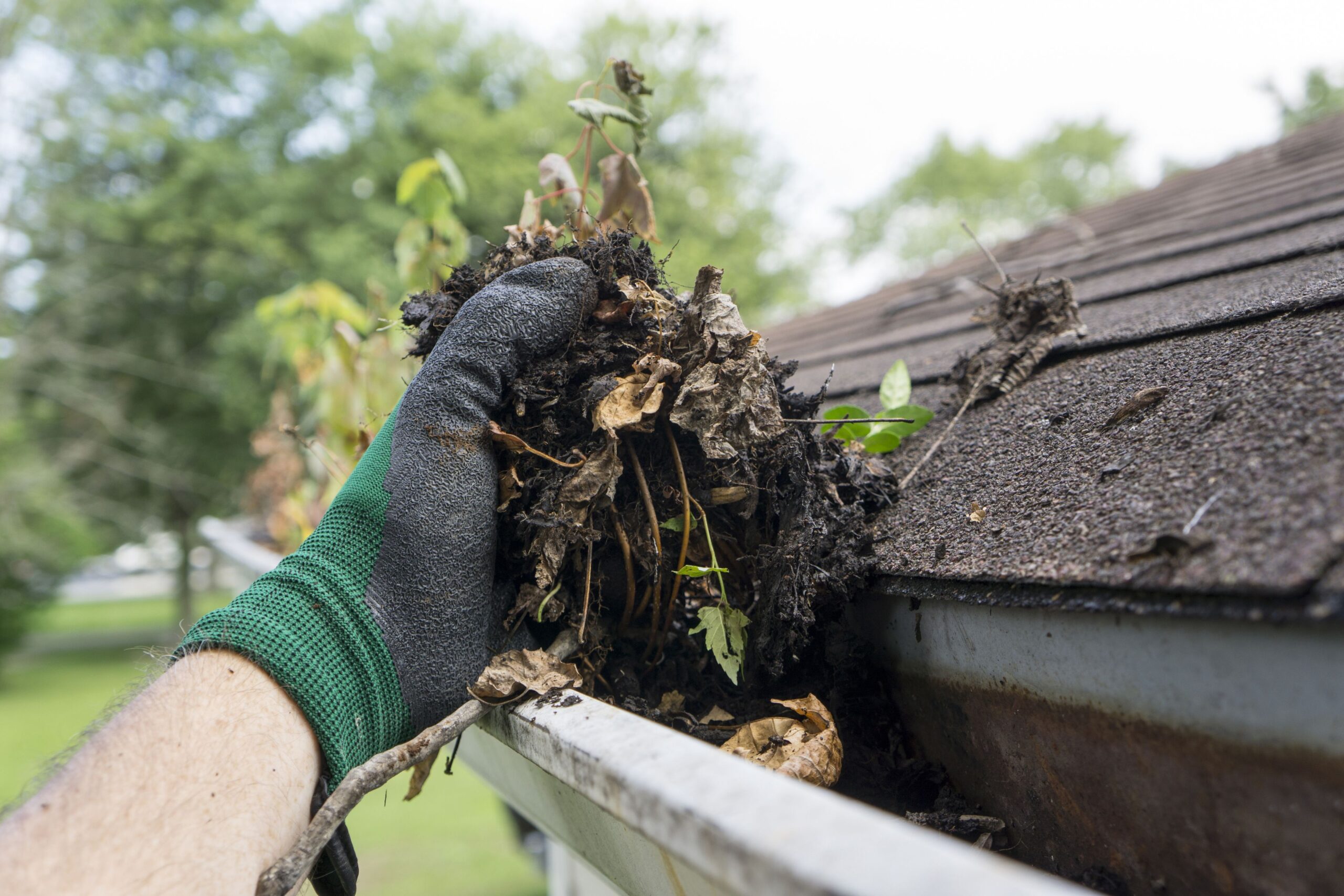 Roof cleaning Long Island
